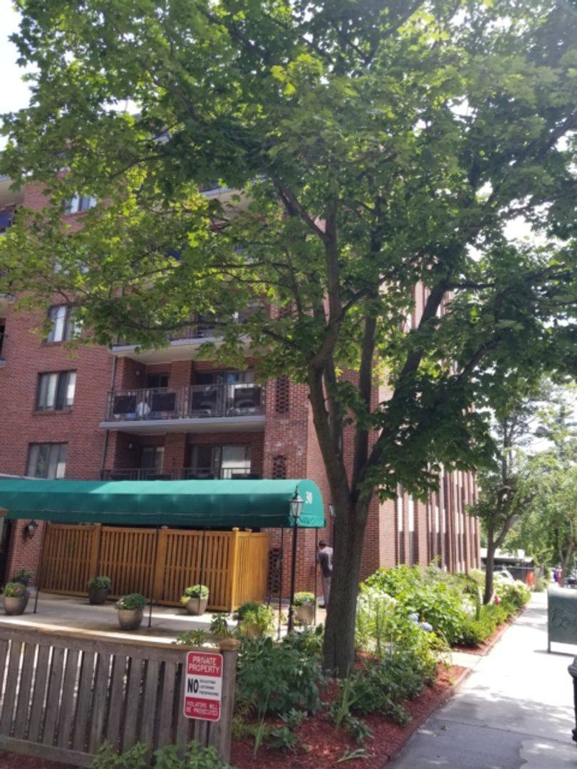 Apartment for rent at 30 Stearns Rd #502, Brookline, MA 02446