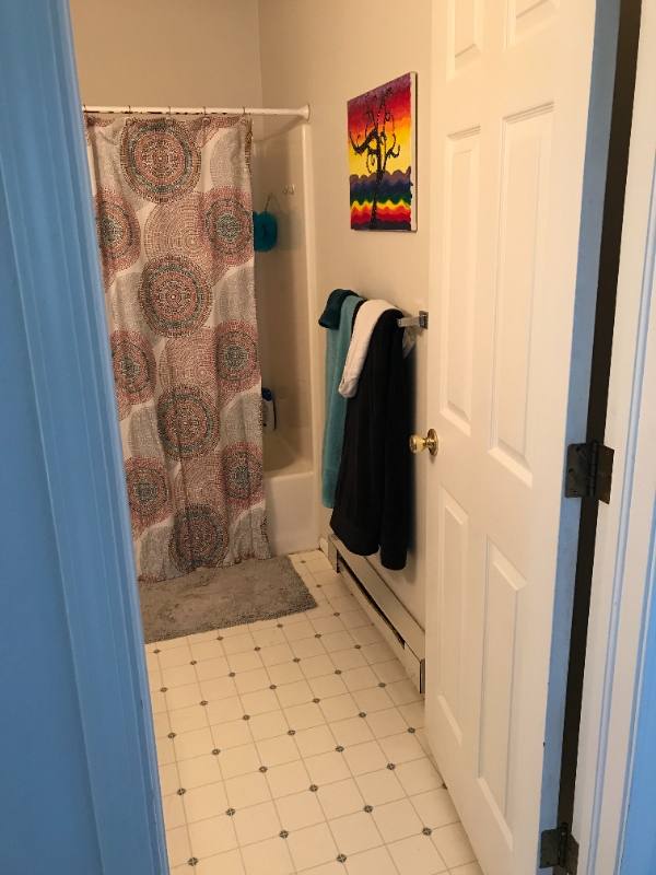 Apartment for rent at 1355 Cherry St #B, Fort Collins, CO 80521
