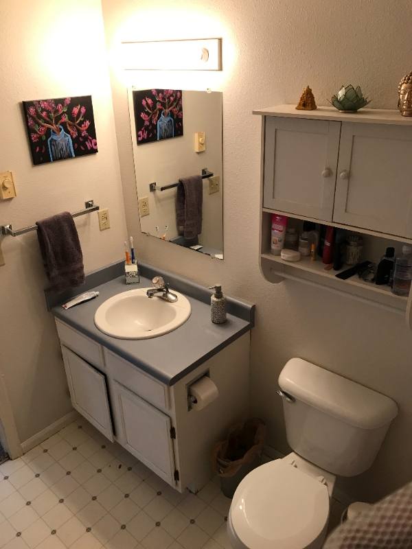Apartment for rent at 1355 Cherry St #B, Fort Collins, CO 80521