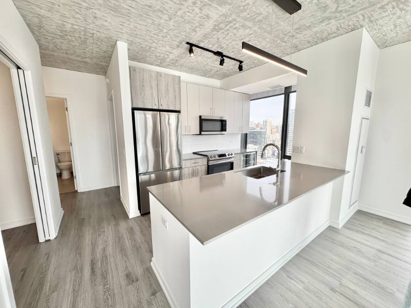 Apartment for rent at 461 W Chicago #2003, Chicago, IL 60654