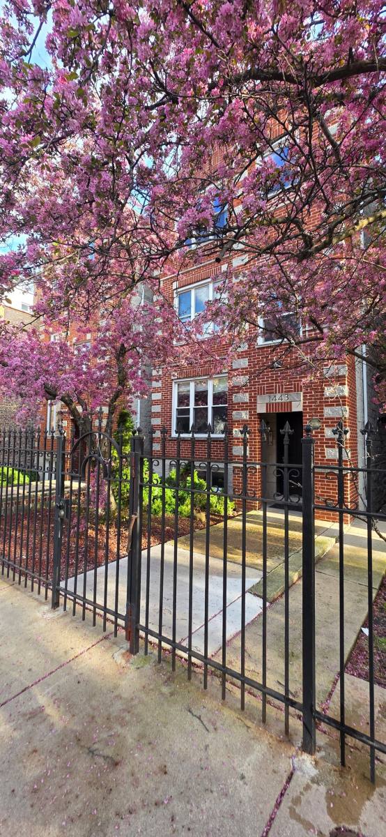 Apartment for rent at 1443 W Walton St, Chicago, IL 60642