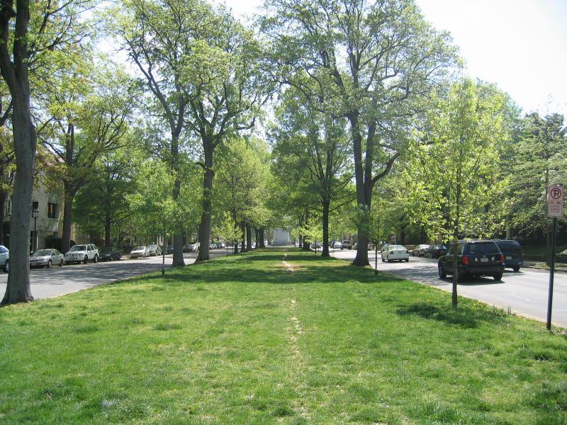 Apartment for rent at 3009 Monument Ave #9, Richmond, VA 23221