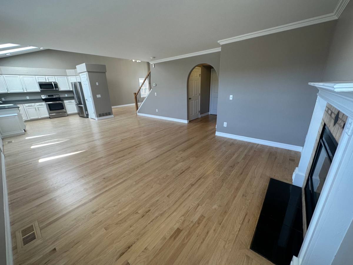 House for rent at 2345 Damon Dr, Colorado Springs, CO 80918