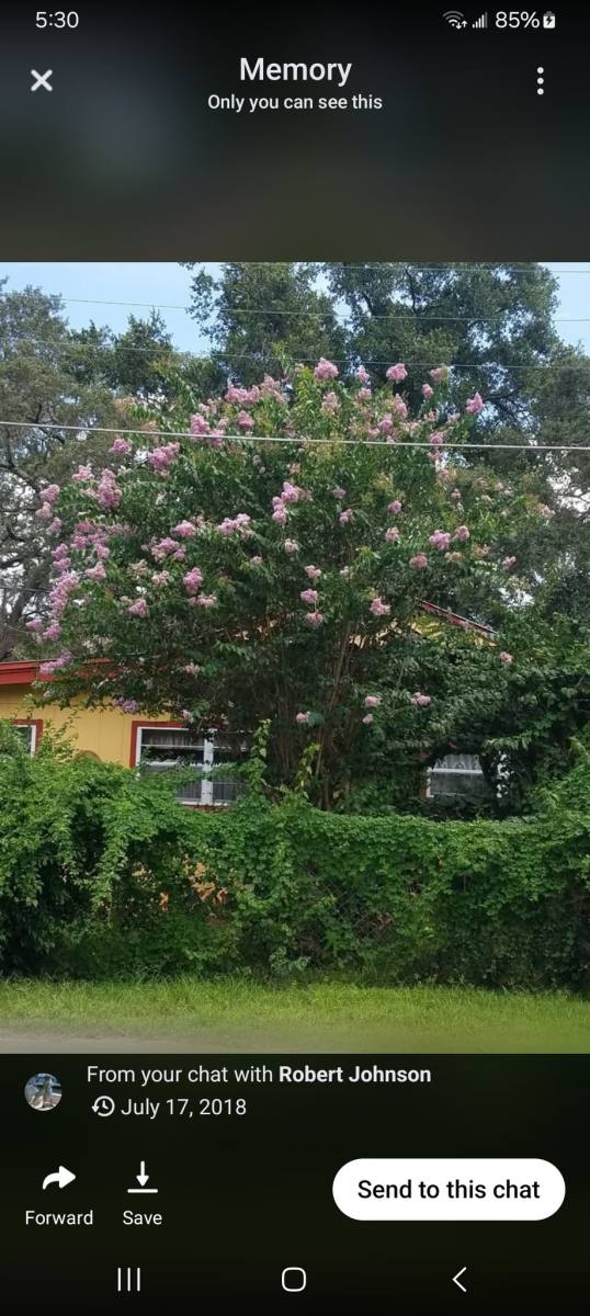 House for rent at 250 N New Hampshire Ave, Apopka, FL 32712