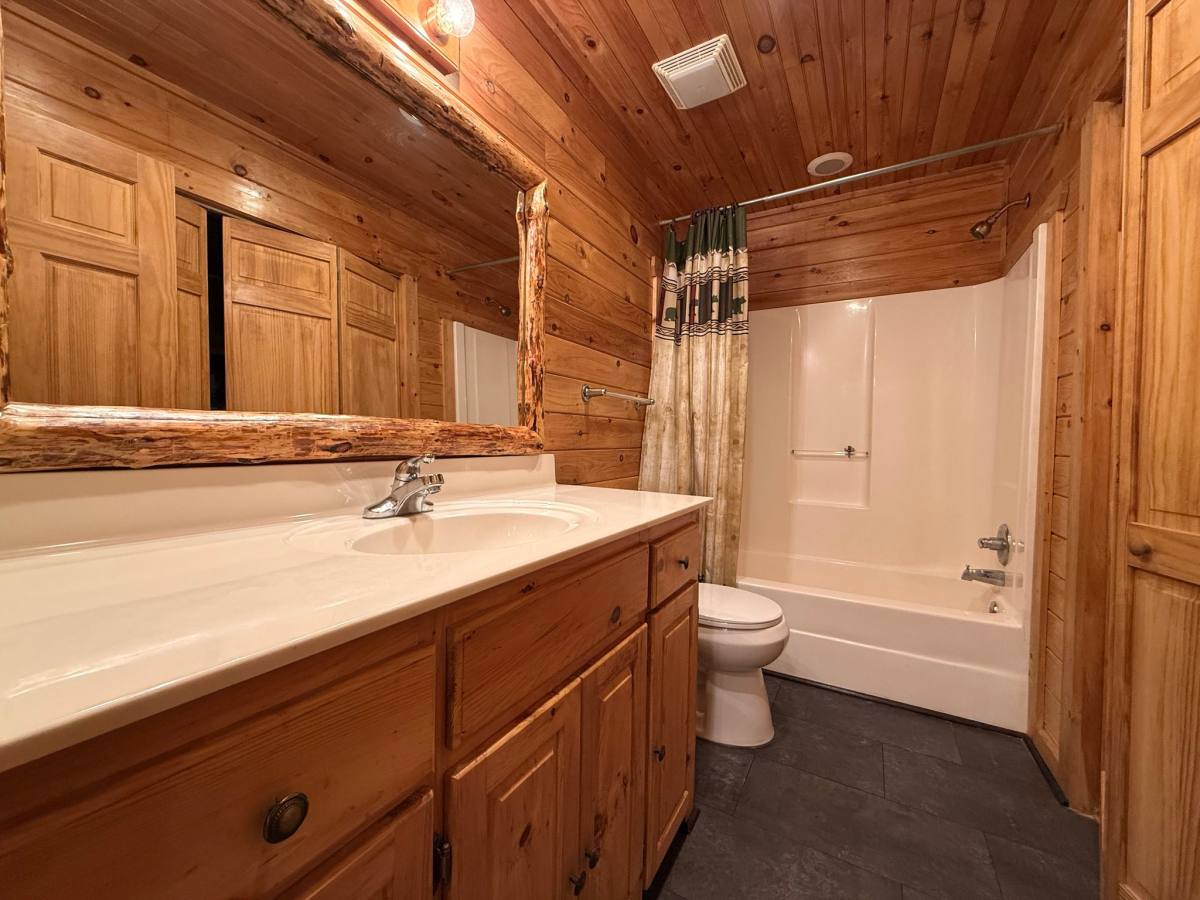House for rent at 303 Pine Lane, Mineral Bluff, GA 30559