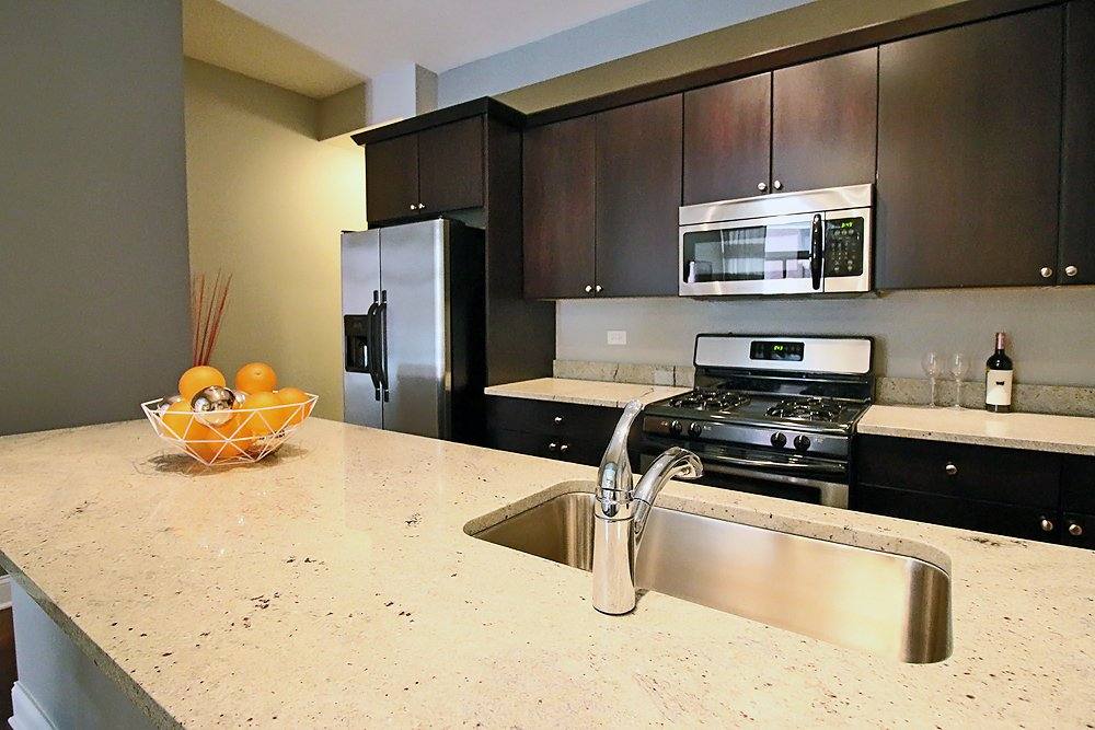 Apartment for rent at 209 E Cullerton St #206, Chicago, IL 60616