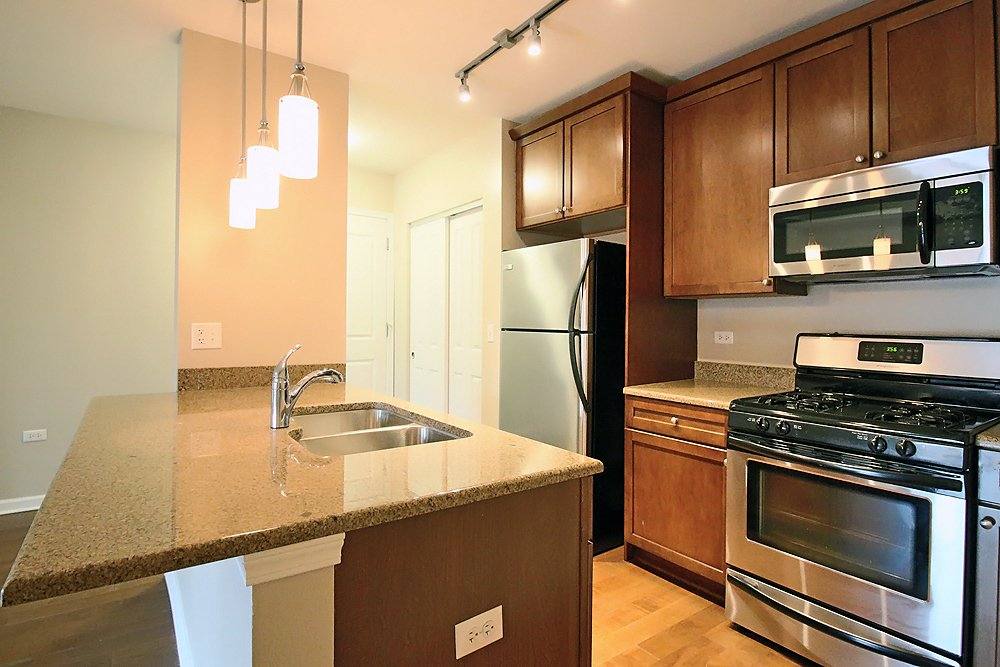 Apartment for rent at 209 E Cullerton St #517, Chicago, IL 60616