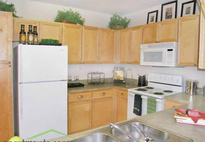 Apartment for rent at 4001 Fannin St #1047, Houston, TX 77004