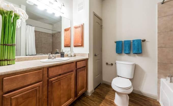 Apartment for rent at 501 Sarah Deel Dr #1047, Webster, TX 77598