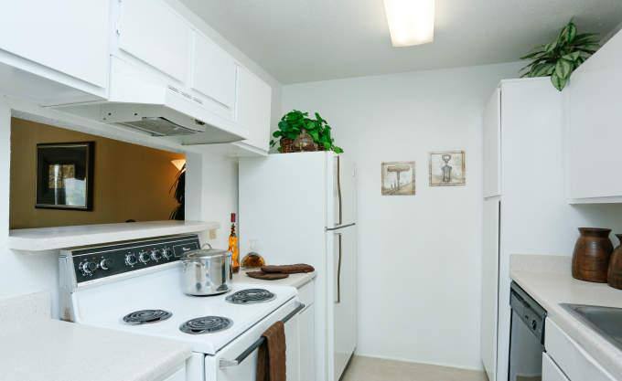 Apartment for rent at 2801 Walnut Bend Lane #2047, Houston, TX 77042