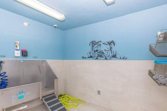 Apartment for rent at 10801 S I-35 Frontage Rd #2018, Austin, TX 78747