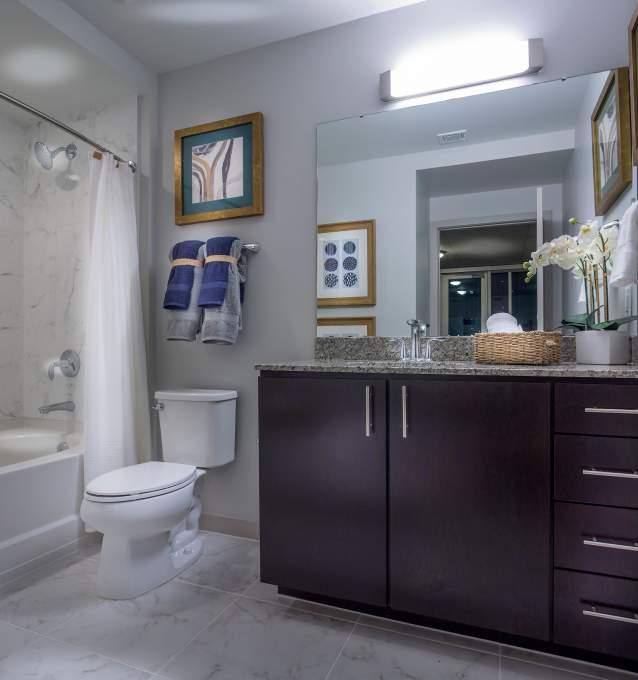 Apartment for rent at 1625 Main St #174, Houston, TX 77002