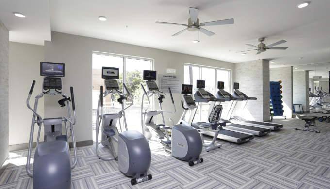 Apartment for rent at 1111 Durham Dr #1174, Houston, TX 77007