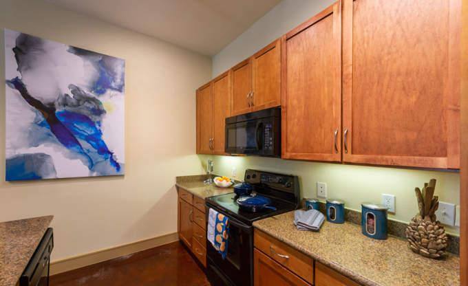 Apartment for rent at 2660 Augusta Dr #1174, Houston, TX 77057