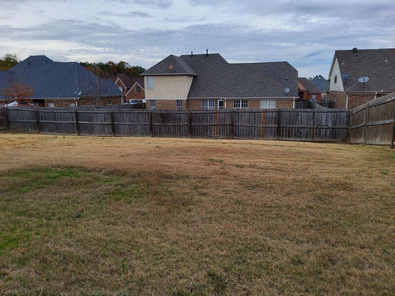 House for rent at 8898 Rasco Hills Cove, Southaven, MS 38671