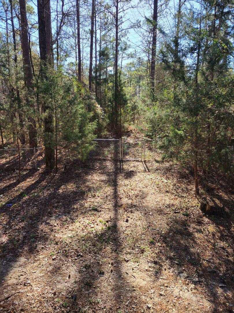 House for rent at 300 Lee Rd, Auburn, AL 36830