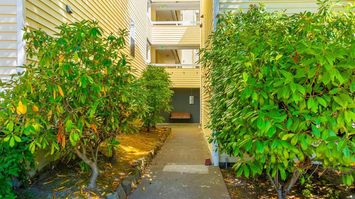 Apartment for rent at 6900 California Ave SW, Seattle, WA 98136