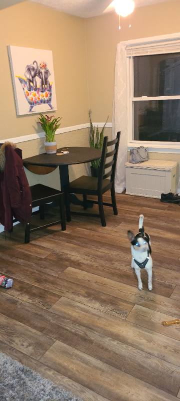 Townhouse for rent at 87 N Pershing Ave #89, Akron, OH 44313