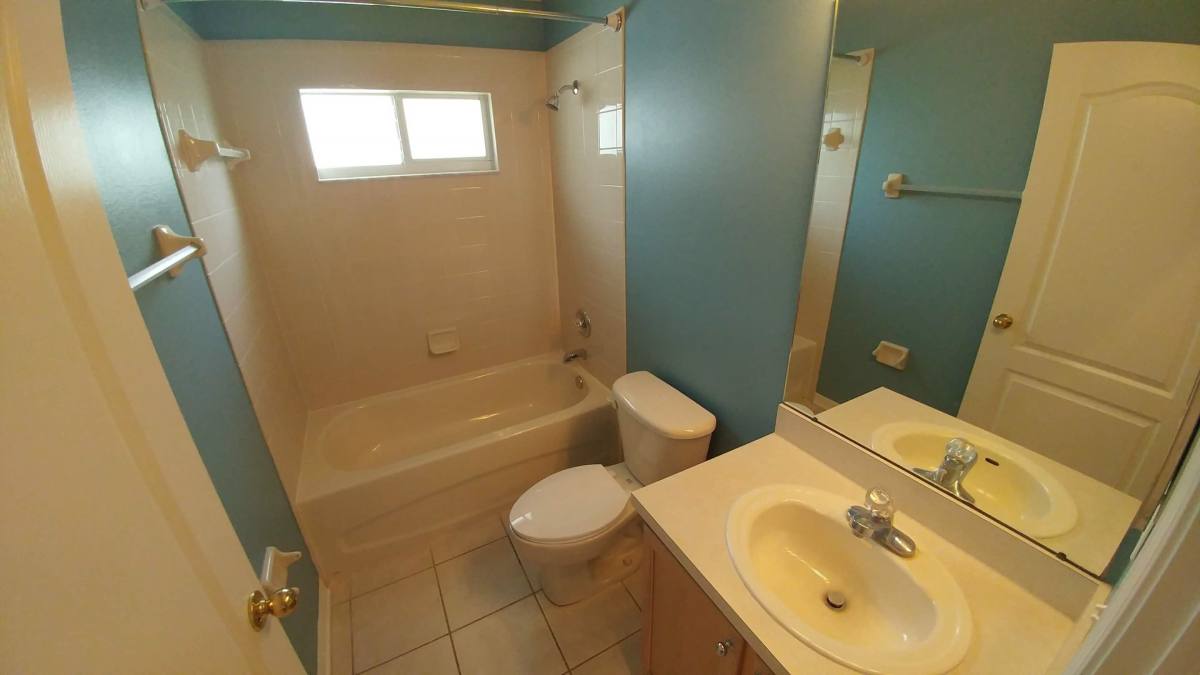 Apartment for rent at 10854 Wild Cotton Court, Land O Lakes, FL 34638
