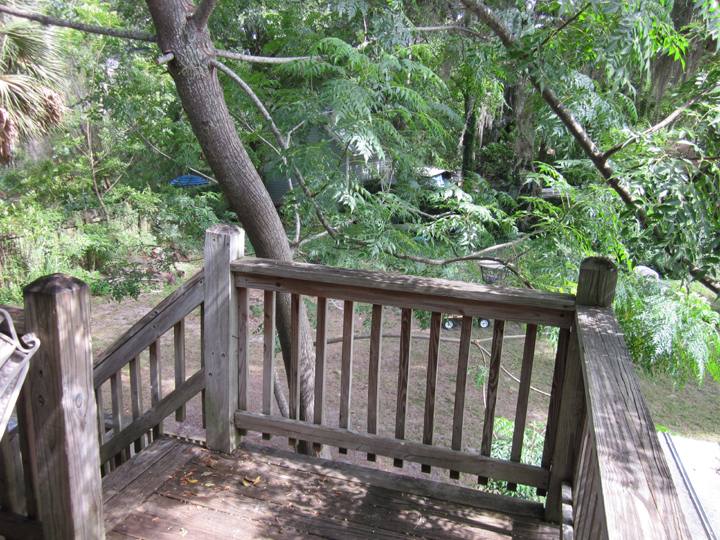 House for rent at 722 NE 3rd Ave #3, Gainesville, FL 32601