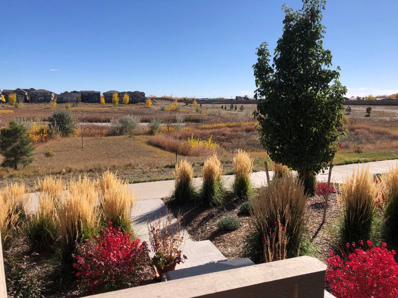 Townhouse for rent at 302 Tigercat Way, Fort Collins, CO 80524