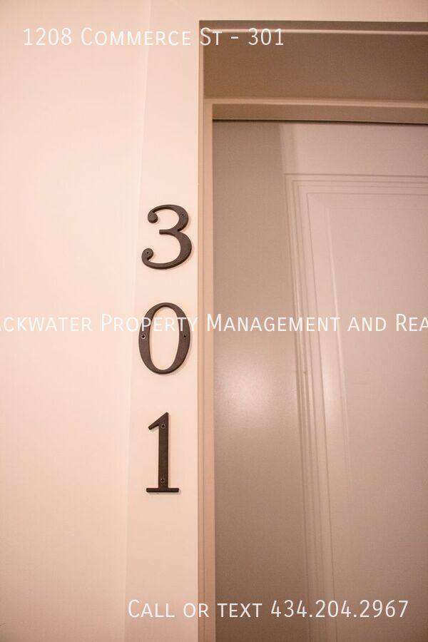 Condo for rent at 1208 Commerce St #301, Lynchburg, VA 24504