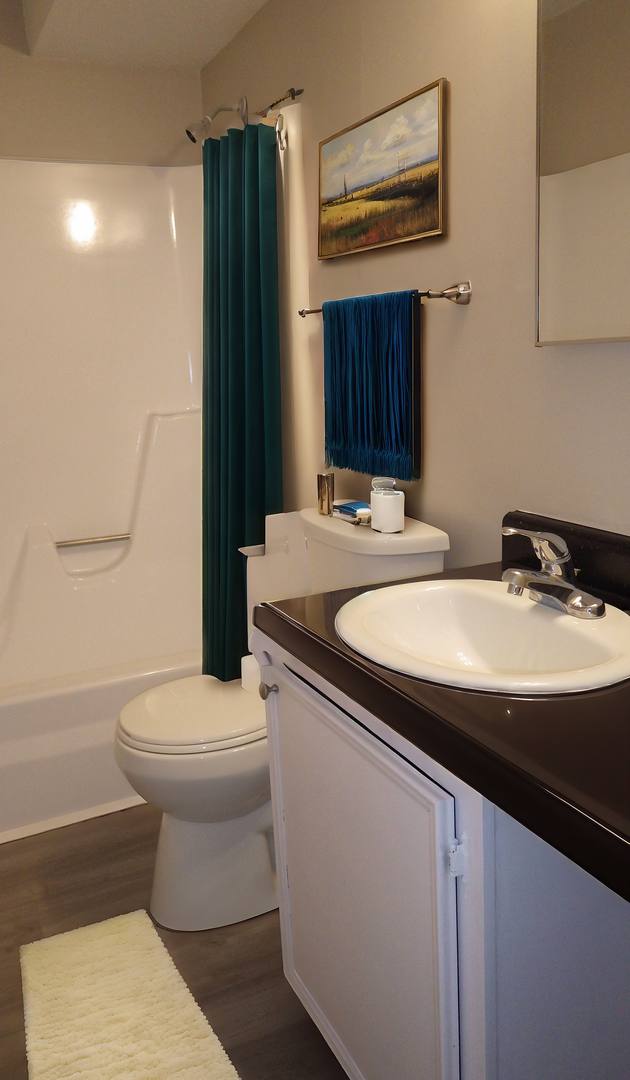 Apartment for rent at 304 Donner Pass, St. Peters, MO 63376