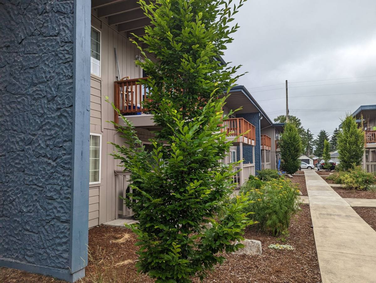 Apartment for rent at 230 S 80th St, Tacoma, WA 98408