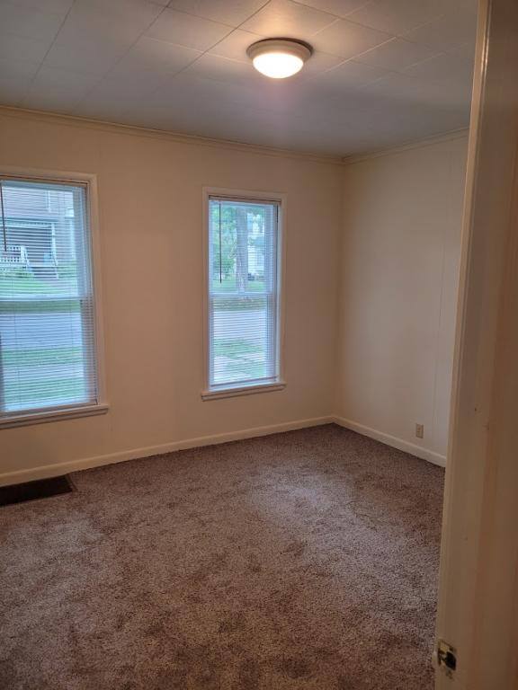 Apartment for rent at 132 Prospect St, Newark, NY 14513