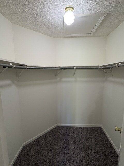 Condo for rent at 2924 Mulberry Lane, Greenville, NC 27858