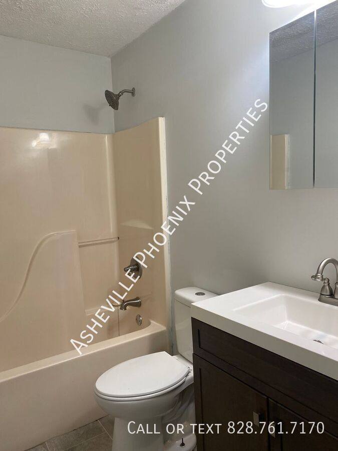 House for rent at 28 Iris St, Asheville, NC 28803