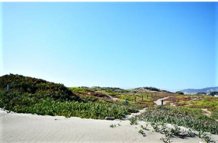 Condo for rent at 1580 Great Highway 1, San Francisco, CA 94122