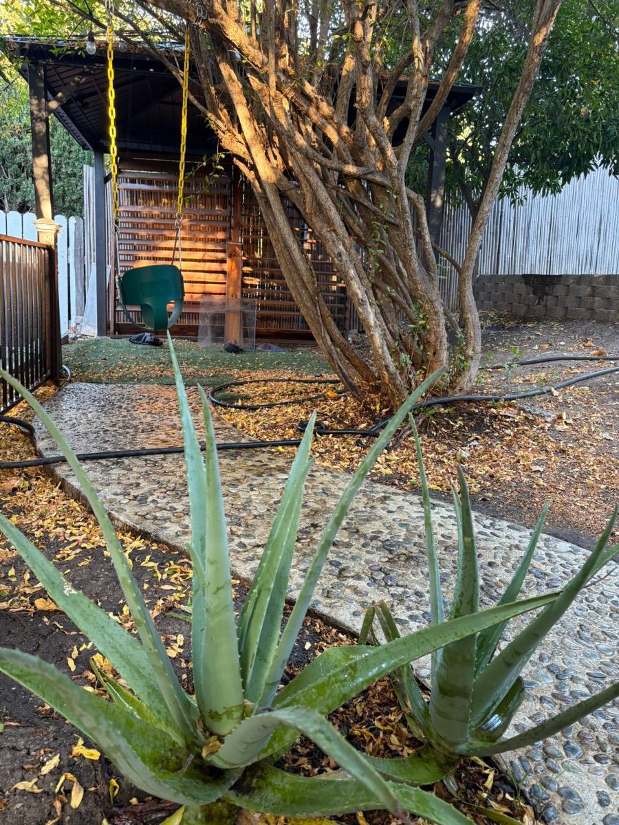 House for rent at 538 Kendall Ave, Los Angeles, CA 90042