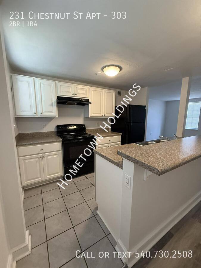 Apartment for rent at 231 Chestnut St #303, Salem, VA 24153