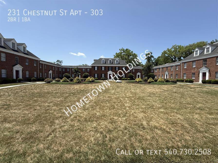 Apartment for rent at 231 Chestnut St #303, Salem, VA 24153