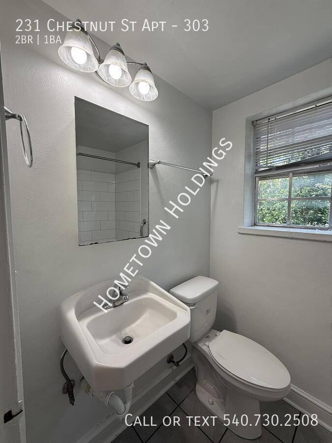 Apartment for rent at 231 Chestnut St #303, Salem, VA 24153