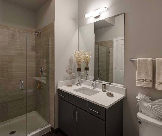 Apartment for rent at 547 S Clark, Chicago, IL 60605