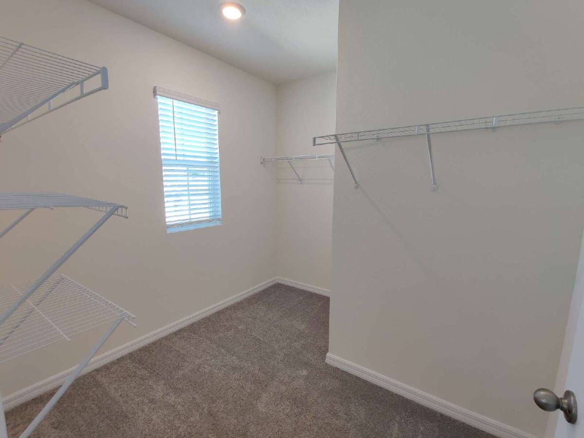 House for rent at 34228 Jasper Stone Dr, Wesley Chapel, FL 33543