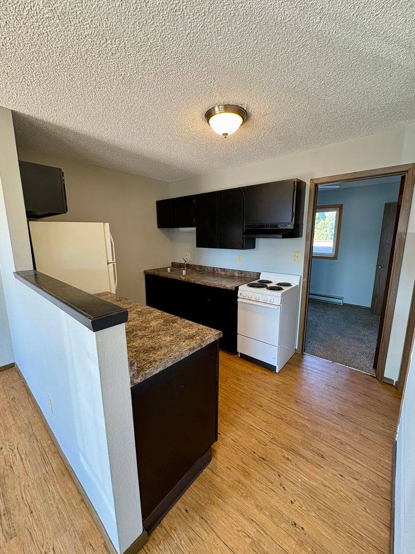 Apartment for rent at 3719 W 9th St, Waterloo, IA 50702