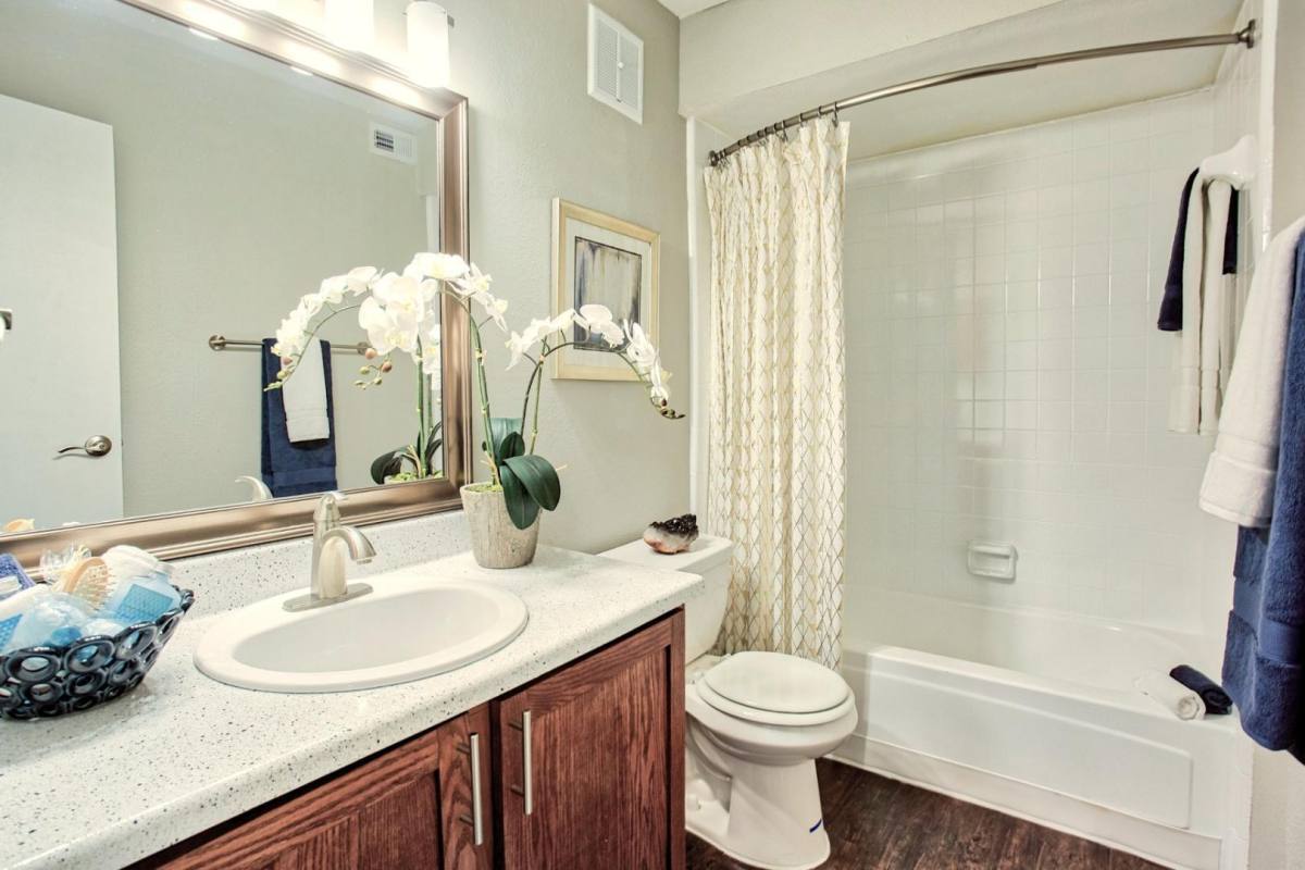 Apartment for rent at The Trails of Valley Ranch, 9478 Valley Ranch Parkway E, Irving, TX 75063