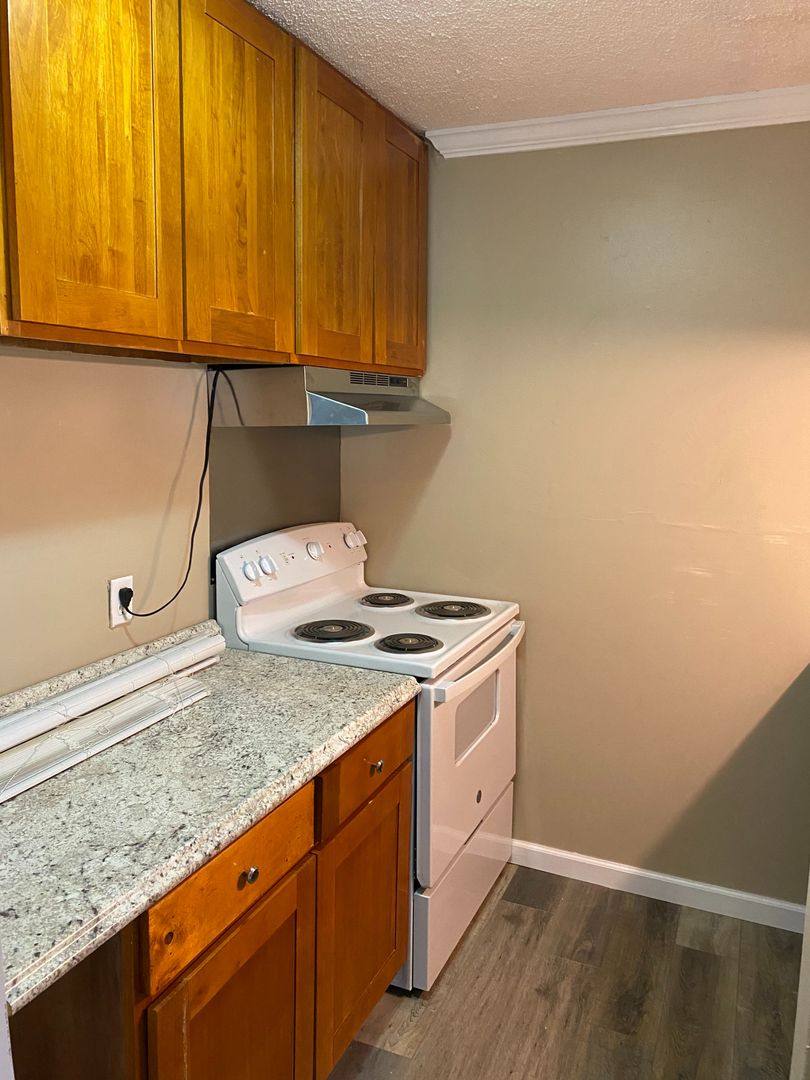 Apartment for rent at Nettleton, 110 Martin Luther King, Nettleton, MS 38858