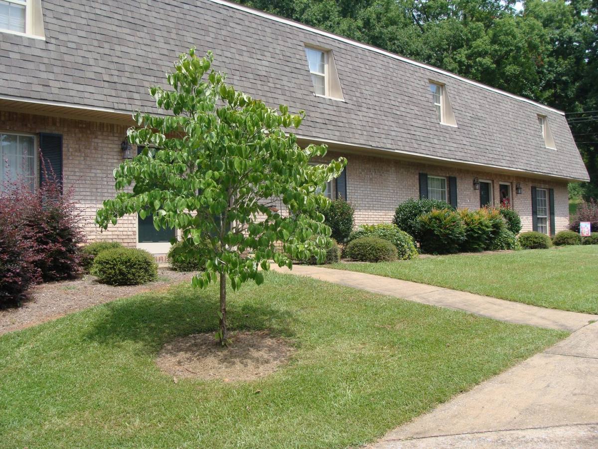 Apartment for rent at 1684 Ashland Highway, Talladega, AL 35160