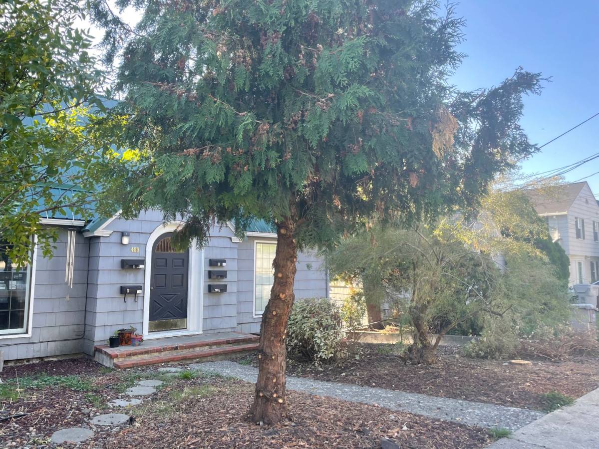 Apartment for rent at 480 NE Maiden Lane, Pullman, WA 99163