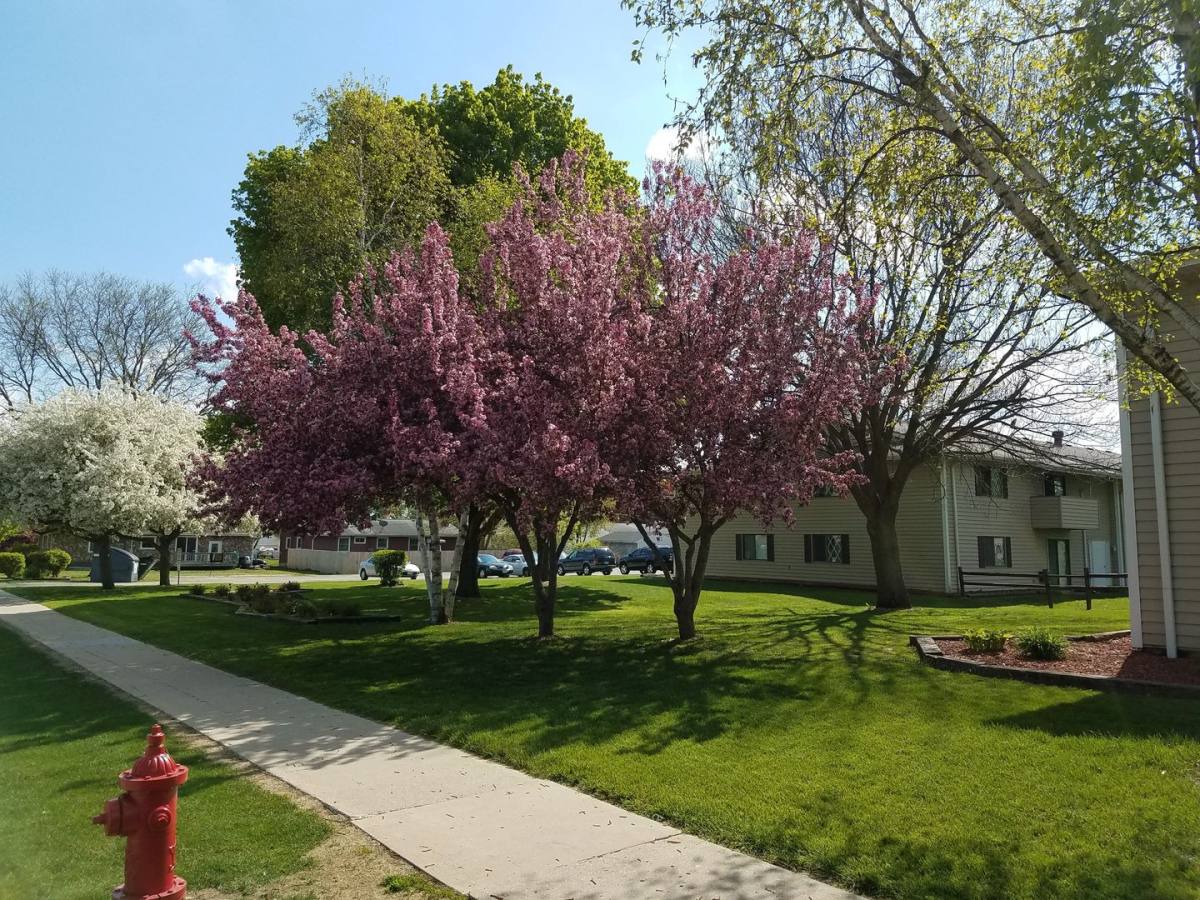 Apartment for rent at 816 S Lincoln Ave, Beaver Dam, WI 53916