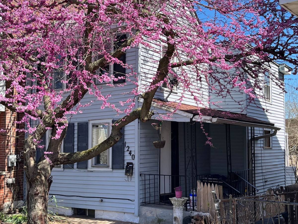 House for rent at 1240 Ohio Ave, Trenton, NJ 08638