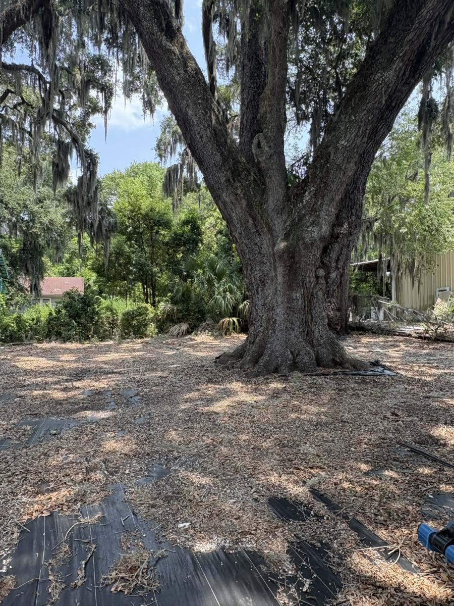 House for rent at 2524 Norwich, Brunswick, GA 31520