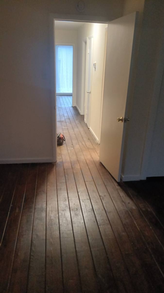 Apartment for rent at 1129 Rodman St, Philadelphia, PA 19147