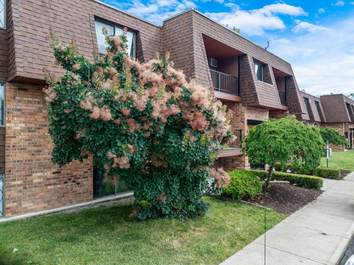 Apartment for rent at 7300 Cedarpost Rd, Liverpool, NY 13088