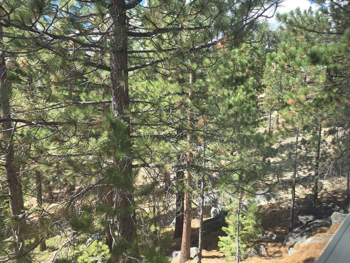 House for rent at 686 Virginia Dr, Gardnerville, NV 89460