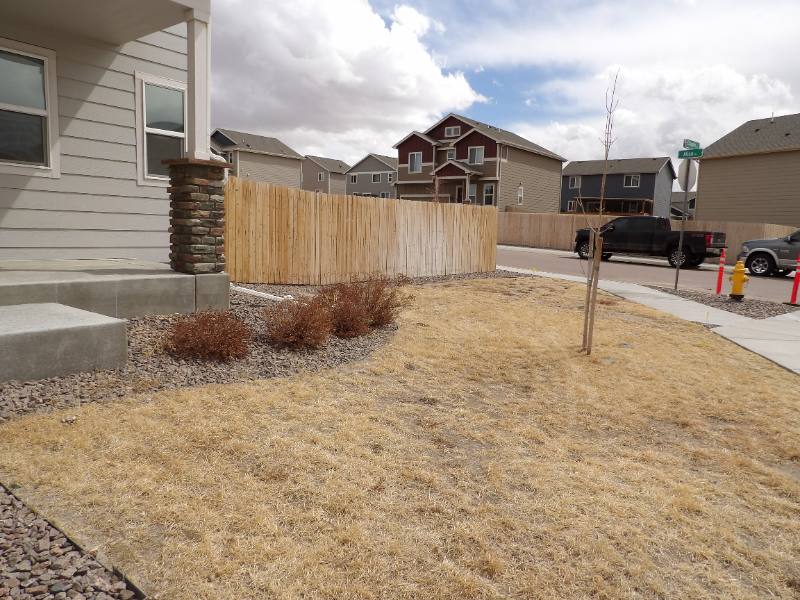 6527 Chaplin Dr, Colorado Springs, CO 80925 - House for Rent - Image 3
